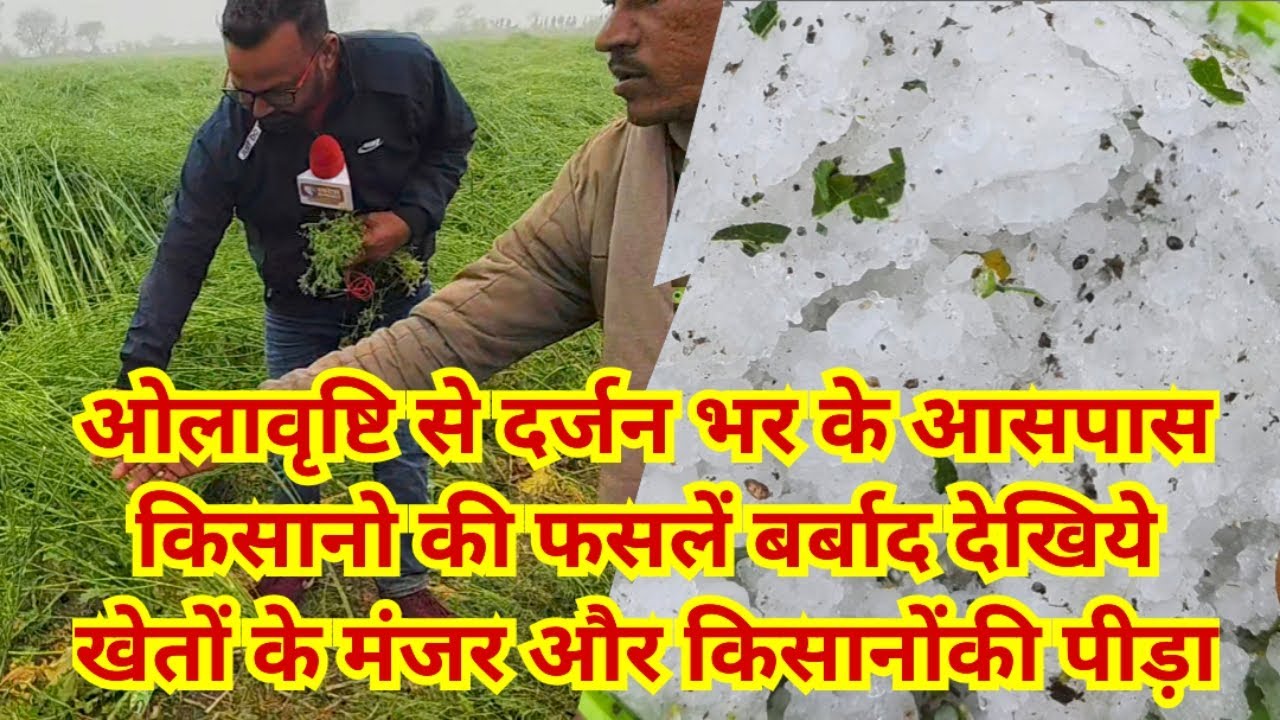  एक दर्जन गांवो के किसानों की फसलें ओलावृष्टि से बर्बाद 14 घण्टे बाद खेतों मैं जमीं बर्फ क़ि सिल्ली