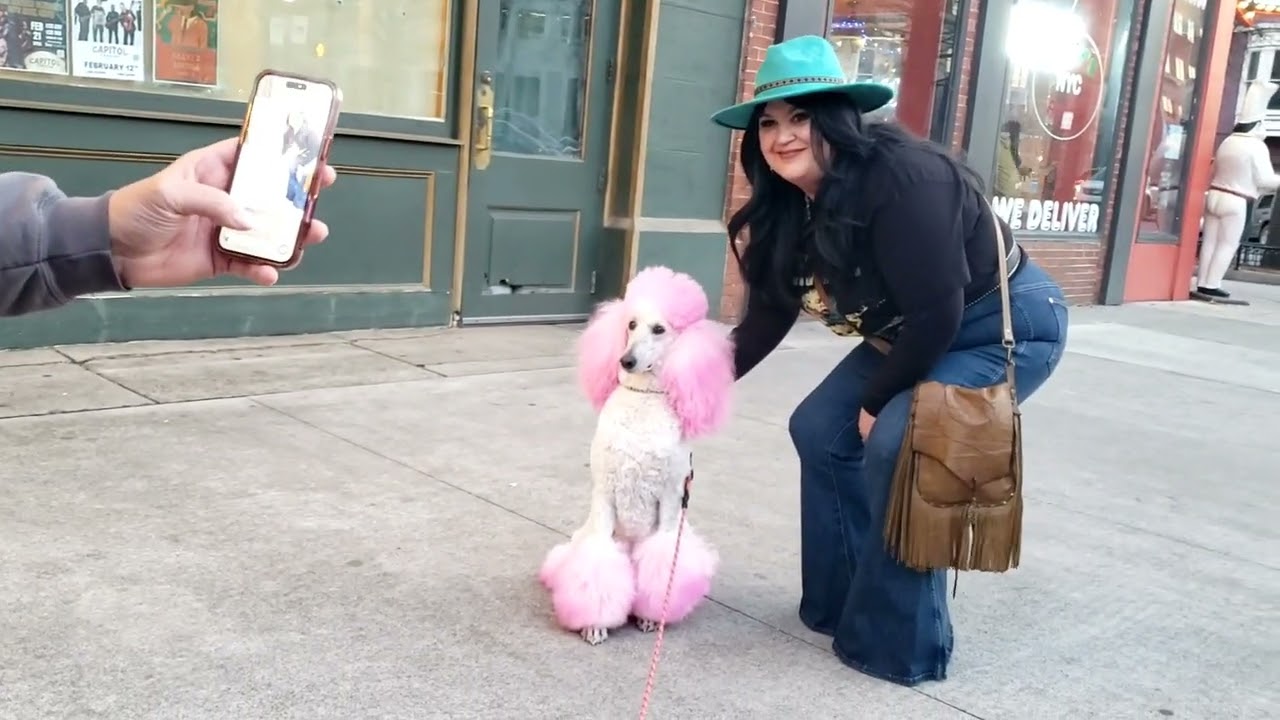 First Friday February Macon Ga 2026 PINK POODLE PARADE 