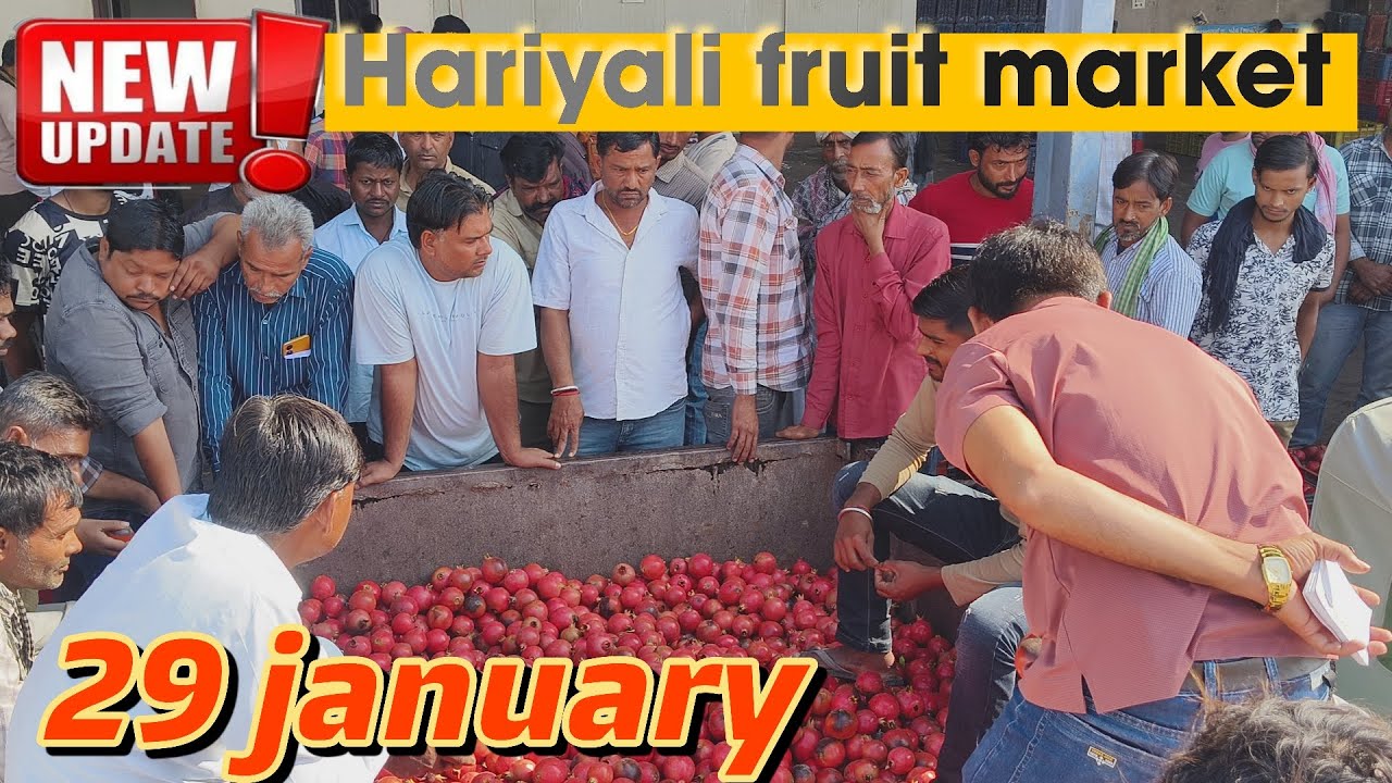 29 january 2026 aaj ki auction video|| pomegranate auction video 📷 #wholesalemarket #fruit 
