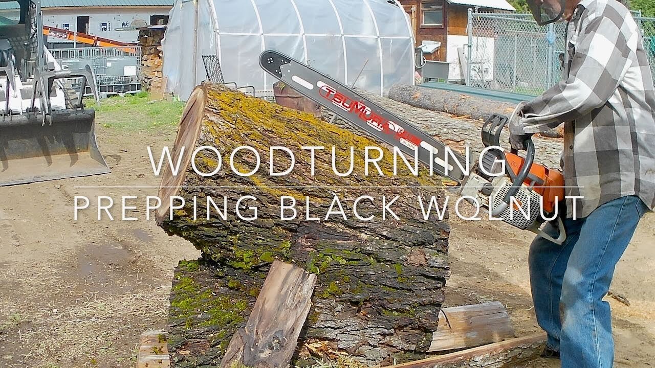 Woodturning: Prepping Large Walnut Crotch