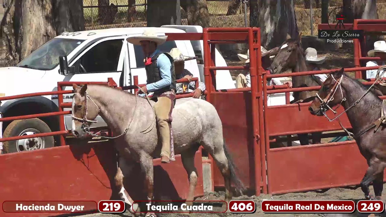 Circuito profesional De Los Altos 4ta Fase