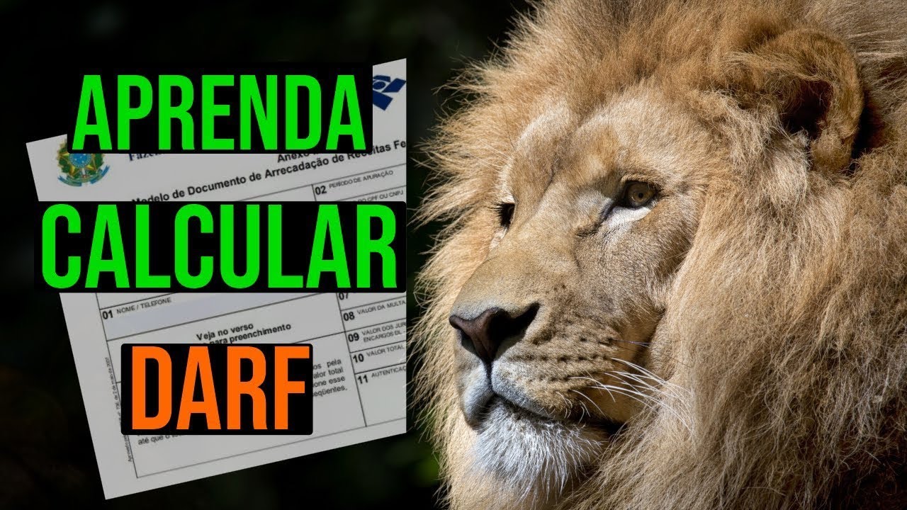 Como calcular DARF na pr&aacute;tica - Day trade [2022]