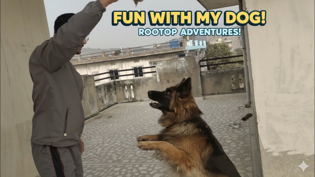 अगर आपको भी हमारी तरह fun करना है तो ye video dekh lo 😂 Full Masti doggy ke sath 😍 #dog #funny 