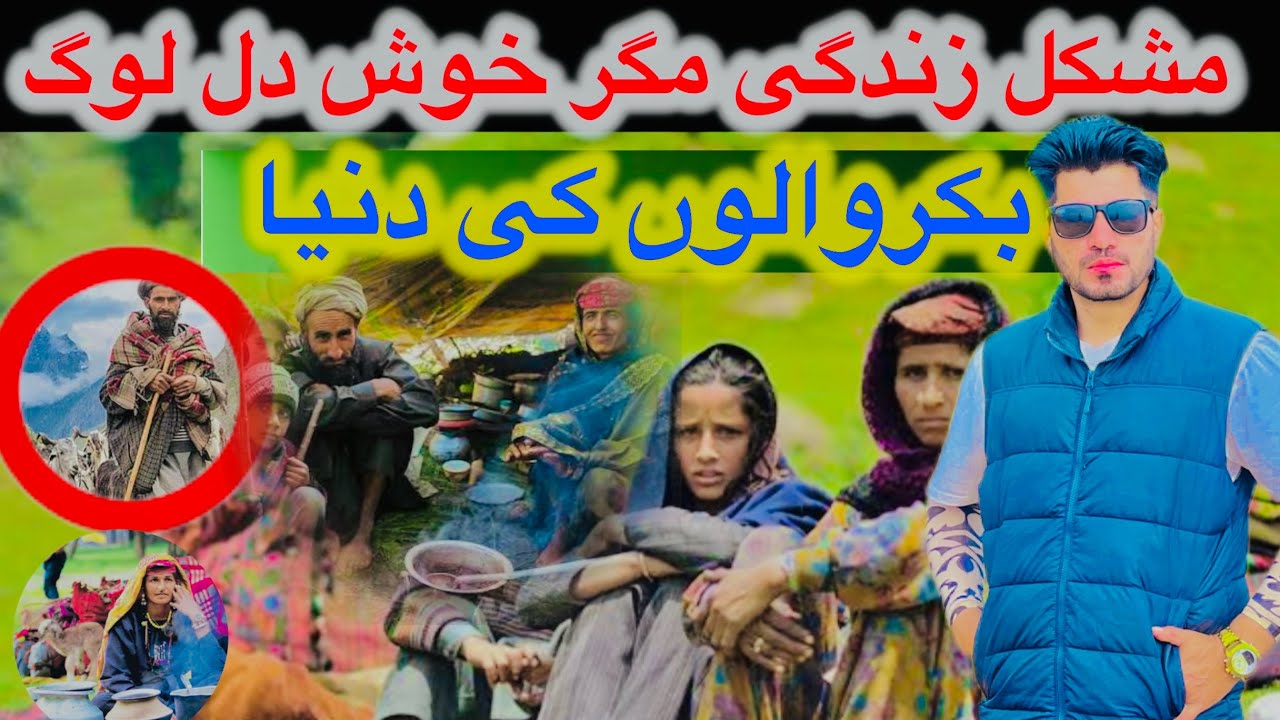 Life of Bakarwal Nomads | Simpl Mountain Homes Goat Farming Vlog ||