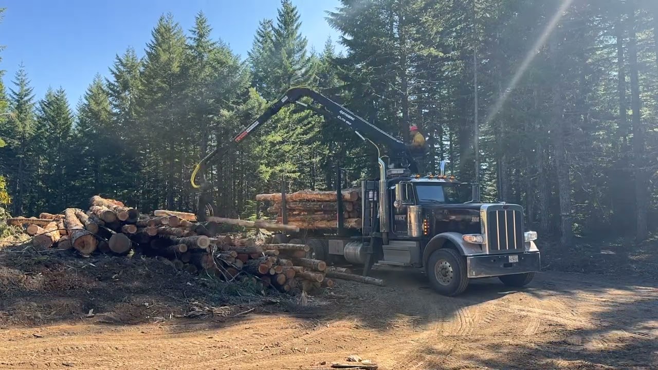 TIMELAPSE - Self Loader Short Haul Log Truck