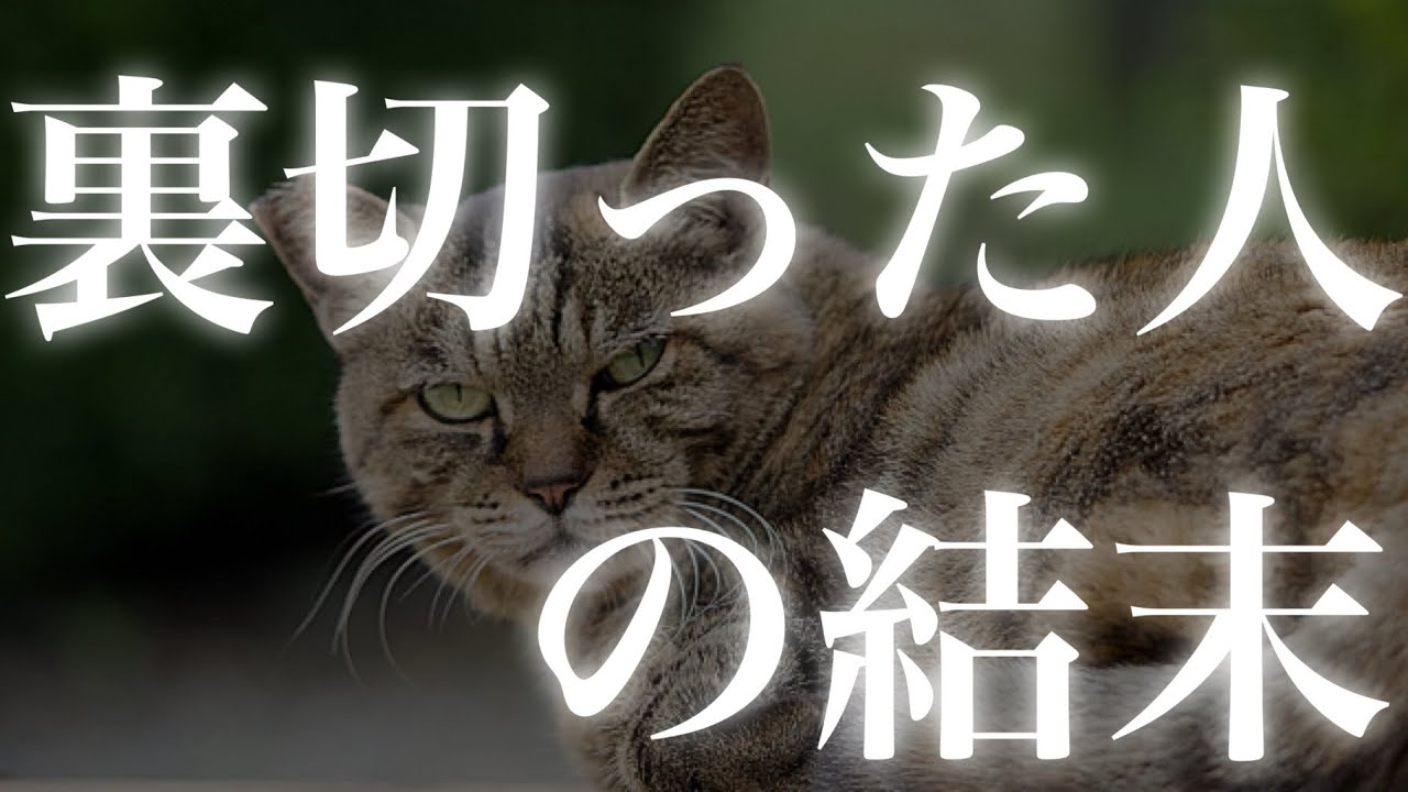 【因果応報】裏切った人の結末|まあそうなるよね？