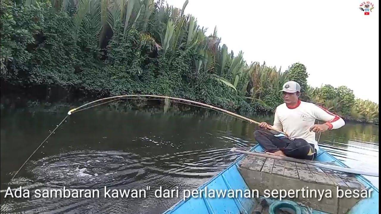 Ikan Black Bass tanpa ekor#Mancing joran bambu