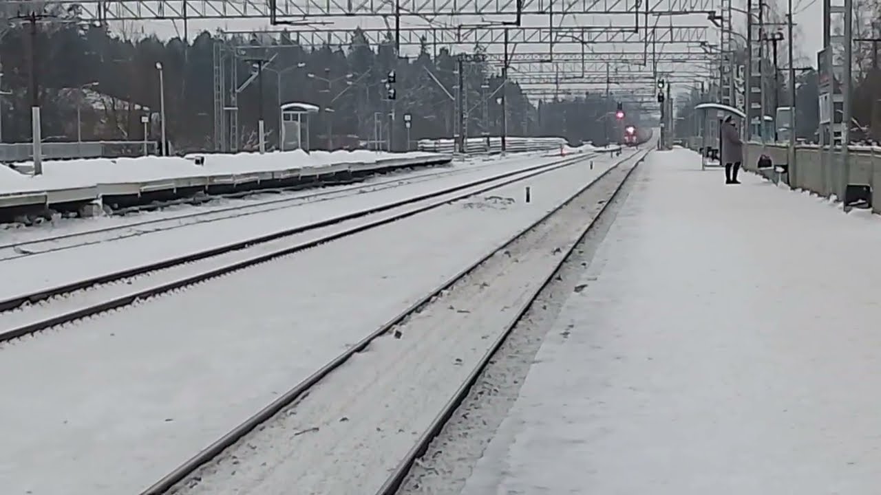 2эс4к 081 едет через сиверскую