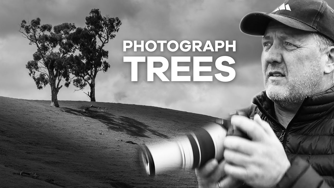 7 UNUSUAL REASONS to Photograph Trees!