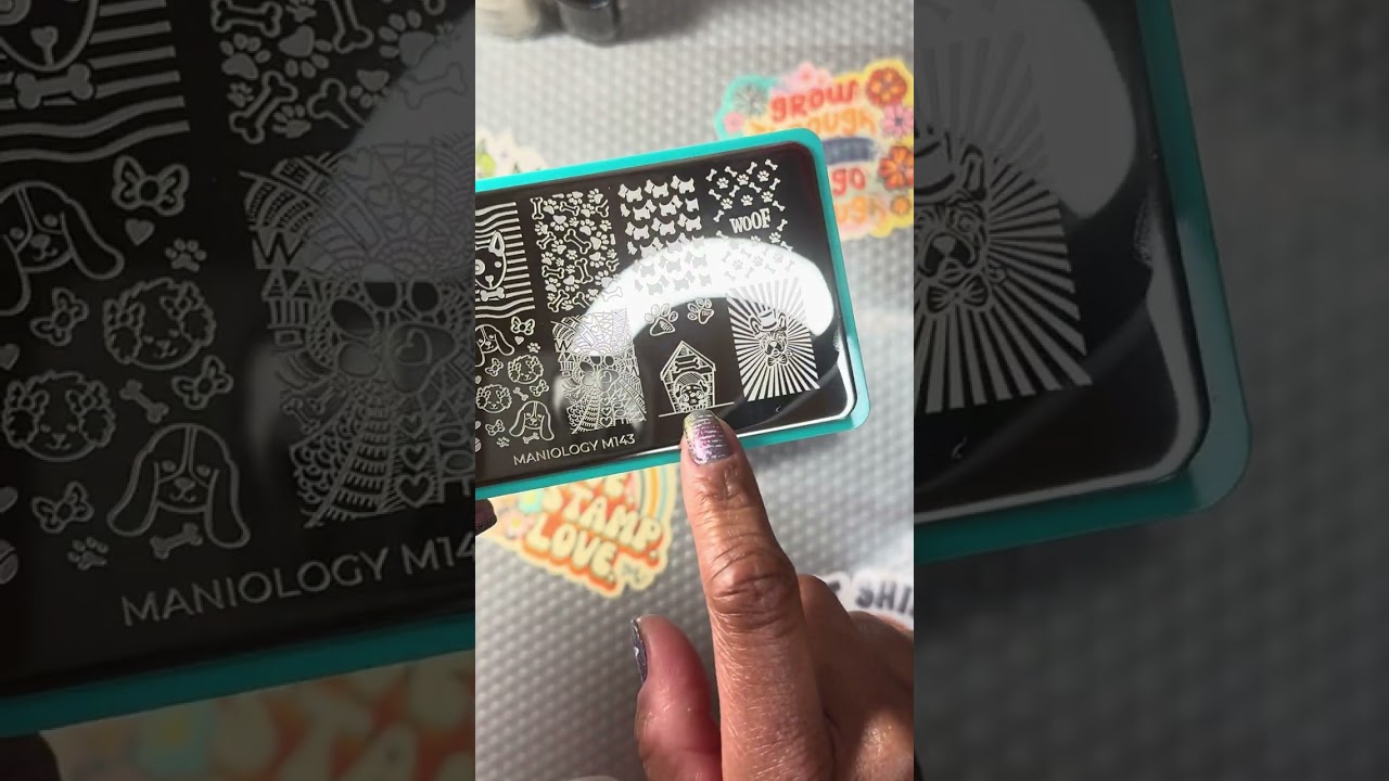 Starter Kit Best In Show 