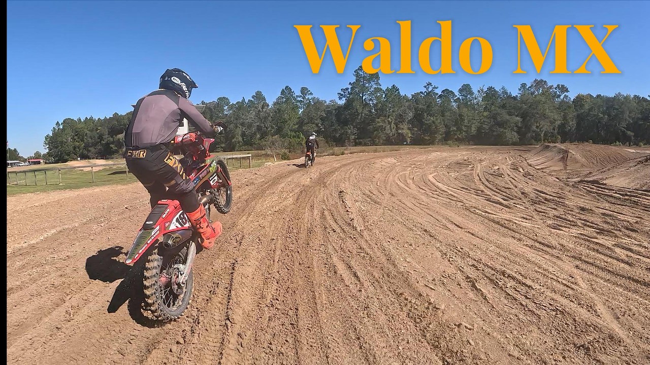 Waldo MX