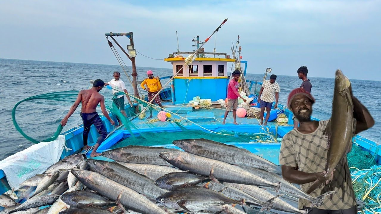 Seventh Day Last Day 💢❗ Return to Shore Fishes Auction 💰 💰💰