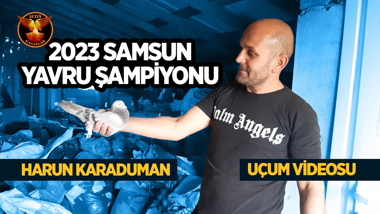 Harun Karaduman 2023 Samsun yavru şampiyonu