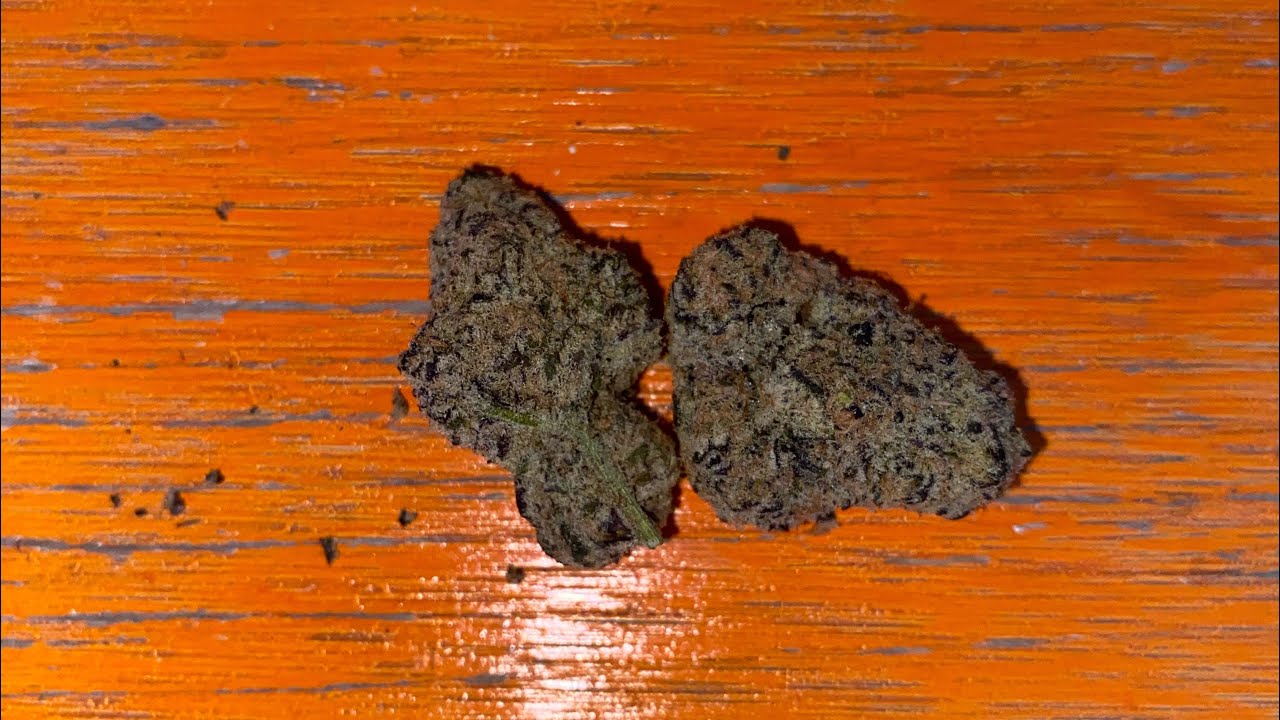 Ice Cream Candy 19.78% Verano Reserve Flower | M&Uuml;V Palm Harbor 