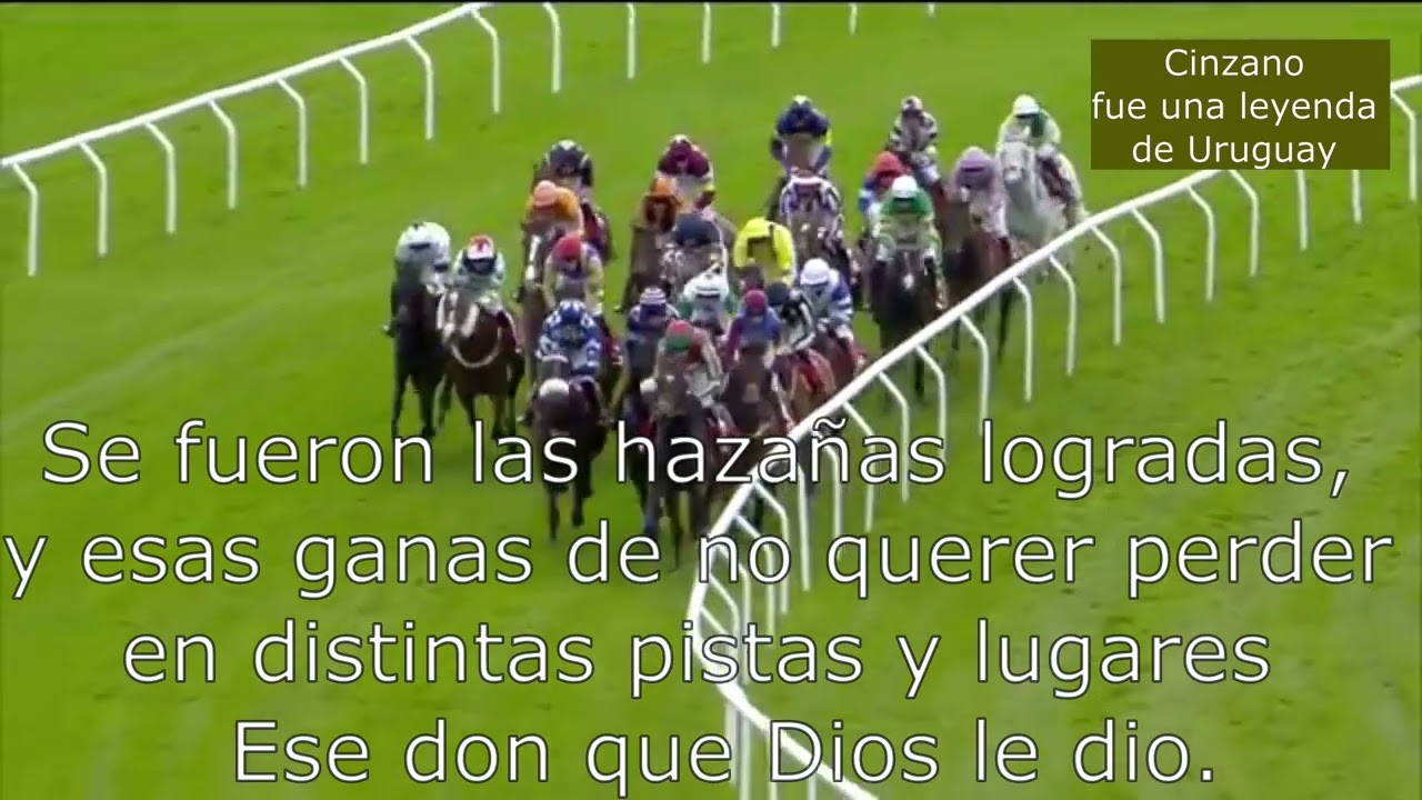 Historia injusta del caballo carreras y de salto, delatado x 3 yoruguas ( resumen del delator)