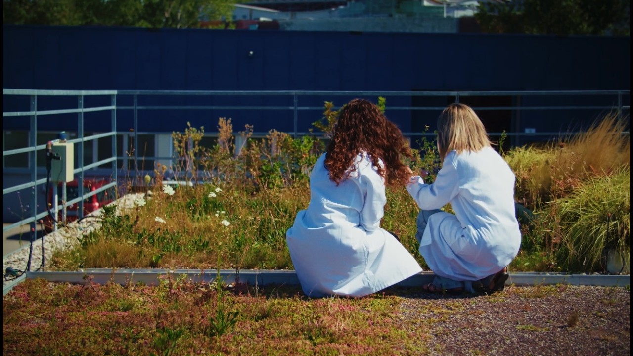 La tettoia sperimentale Harpo verdepensile: un laboratorio a cielo aperto per il verde pensile