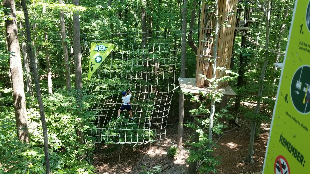 Go.Ape Tarzan Swing