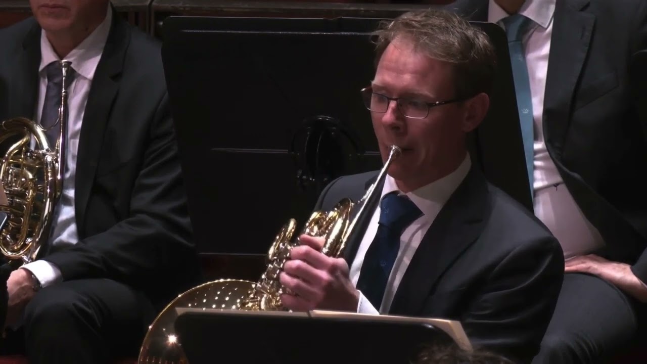 Williams's Star Wars Leia's Theme, Horn Solo