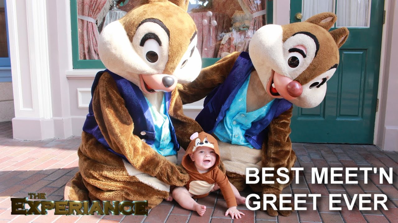BEST Meet'n Greet EVER