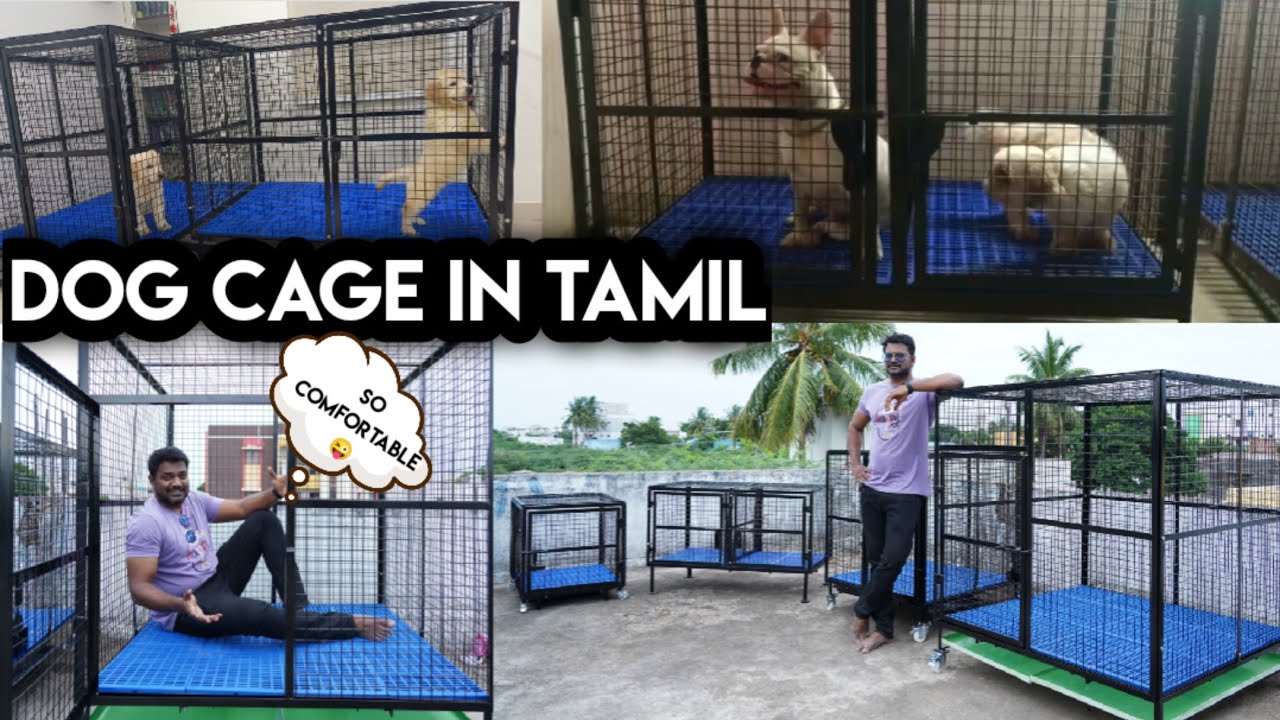 Cage for Dogs and other Pet Animals in Tamil | Customized Cages at Chennai | Jay Vlogs