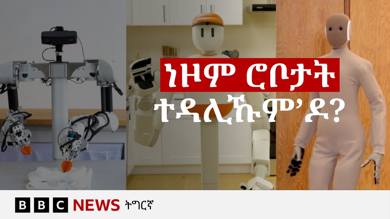 ብኤኣይ ዝሰልጠኑ ሮቦታት፡ ይስሃቕን ሚሞን ገዛኹም ከጽርዩ ምፈቐድኩምሎም'ዶ? | BBC NEWS ትግርኛ