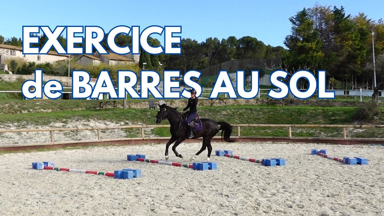 Barres au sol : exercice spécial pas, trot et galop #horse #cheval