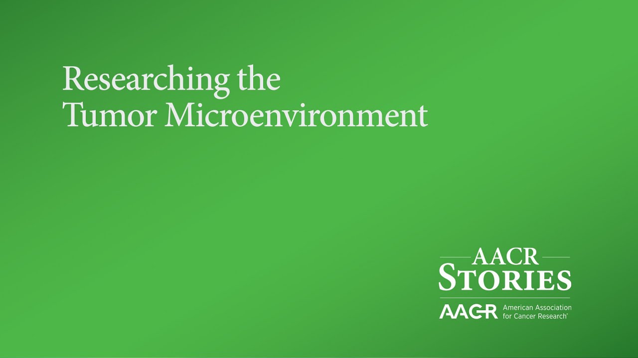 How the Tumor Microenvironment Supports or Stifles Cancer Growth
