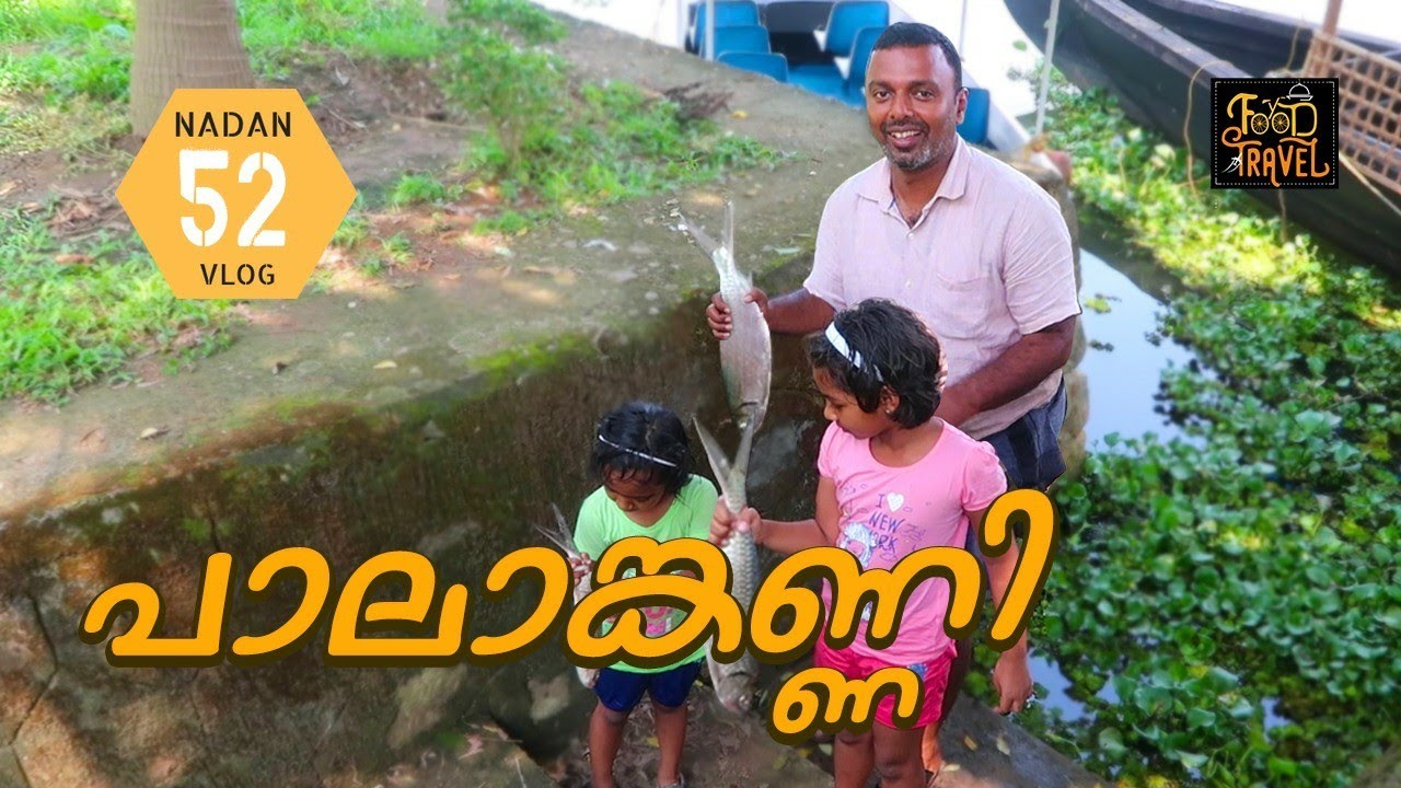 Vaikom Tour Video: വൈക്കം കായലും നാട്ടുമ്പുറവും മീൻ വറുത്തതും