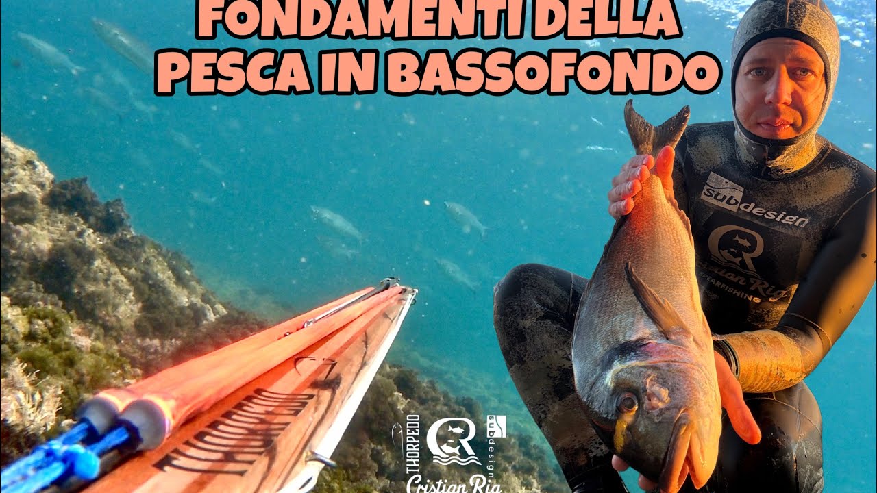 FONDAMENTI DELLA PESCA IN BASSOFONDO | SPEARFISHING