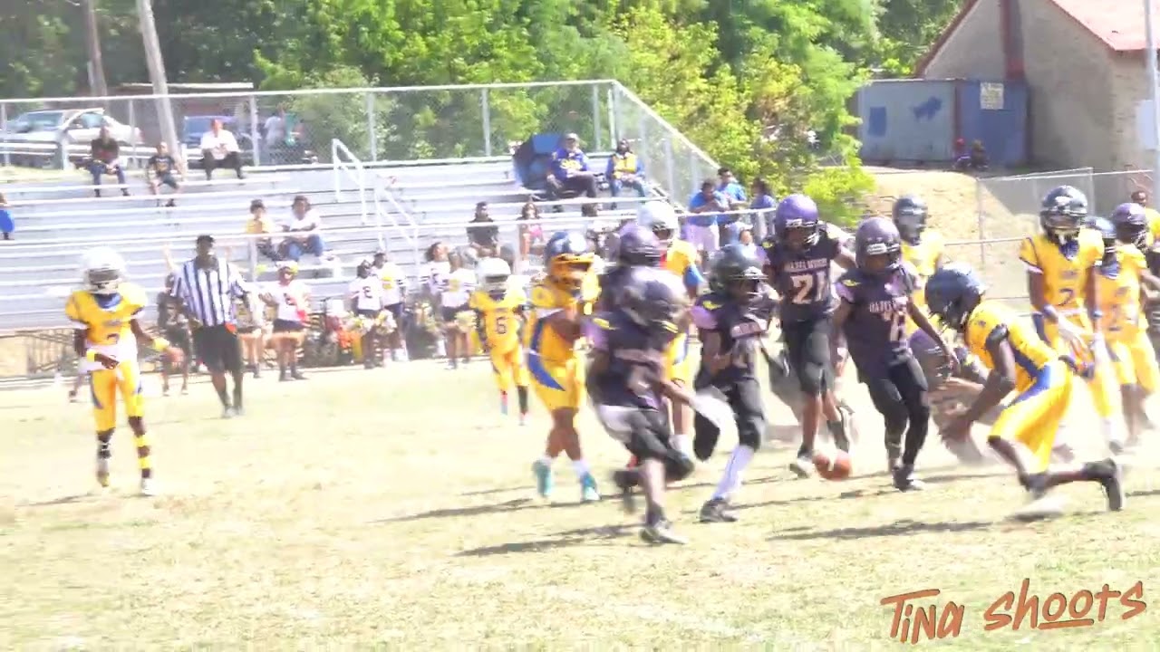 Lincoln Rams vs Hazelwood Cobras 11U