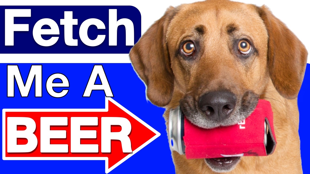How to Teach your Dog to Fetch a Beer!