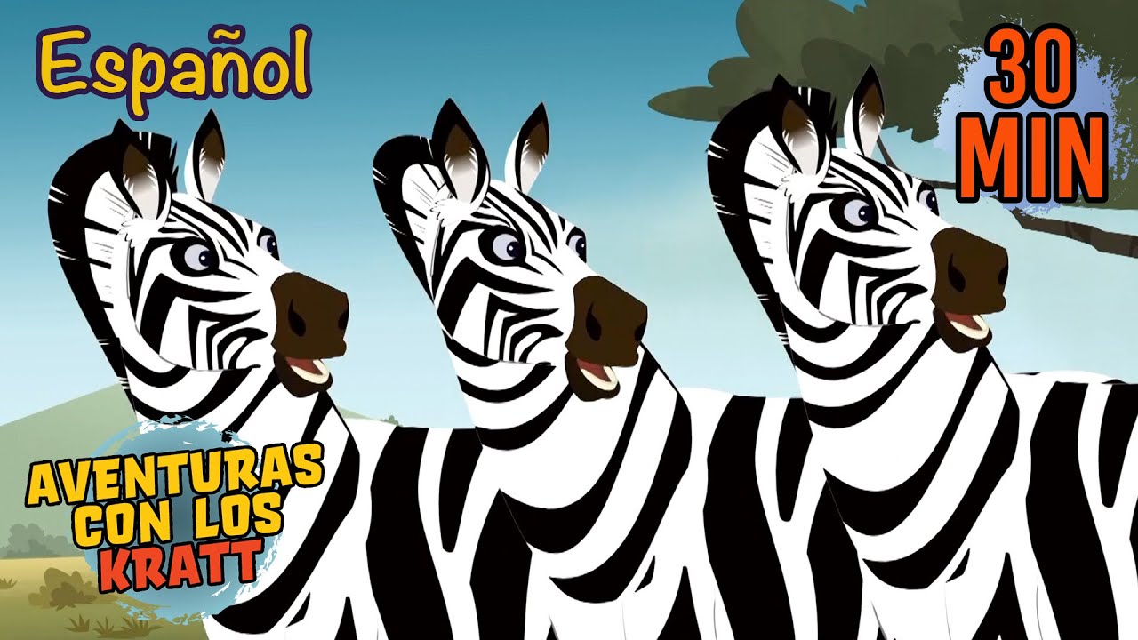 Camuflaje en la Sabana | Cebras y Más | Aventuras con los Kratt | 9 Story Kids en Español