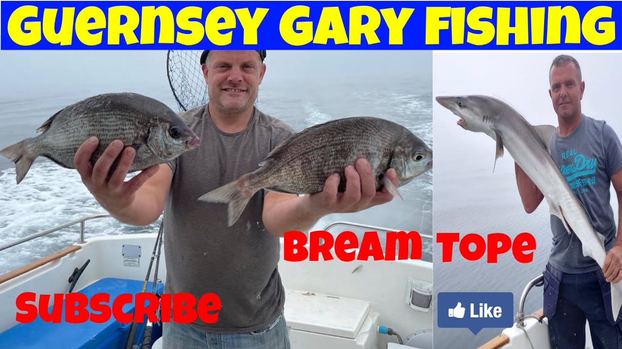 Boat fishing for black bream then big baits for tope shark