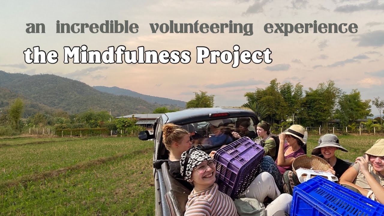 my experience volunteering in Thailand 🇹🇭🐘