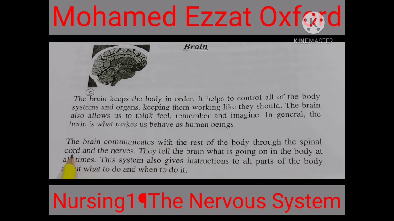 الأول تمريض¶ترمنولوجي ¶إنجليزي طبي ¶ الوحدة9 ¶ الجهاز العصبي. Nursing 1¶Terminolog ¶Nervous System.