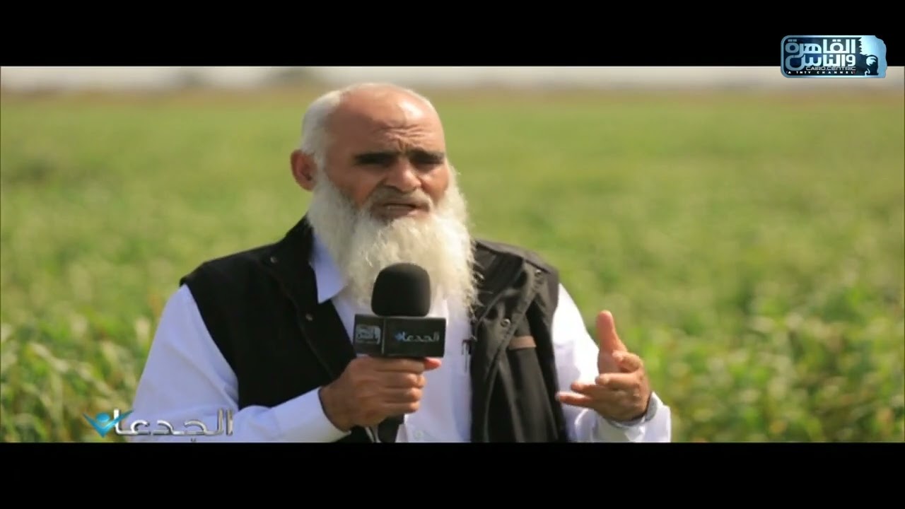 د.عبدالسلام منشاوي: مؤشرات إيجابية حول مسنوى نمو الاقماح خلال الموسم الحالي