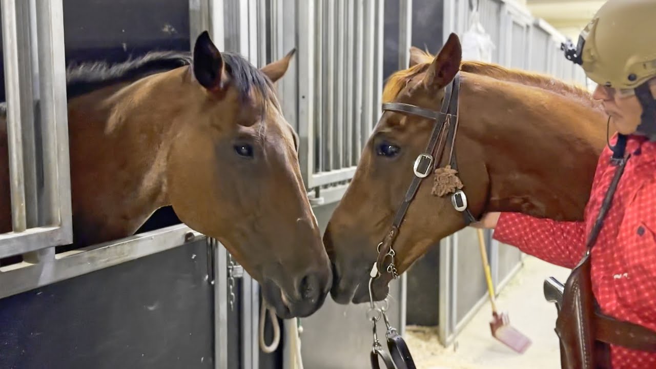 Full video: Guns + Horses! What is Mounted Shooting?🔫🐎