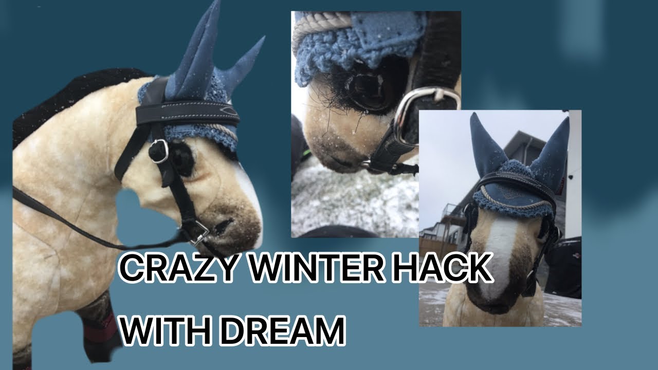 *CRAZY* winter hack with Dream! *I FALL OFF* *BLIZZARD?* | Lemieux toy pony vlog