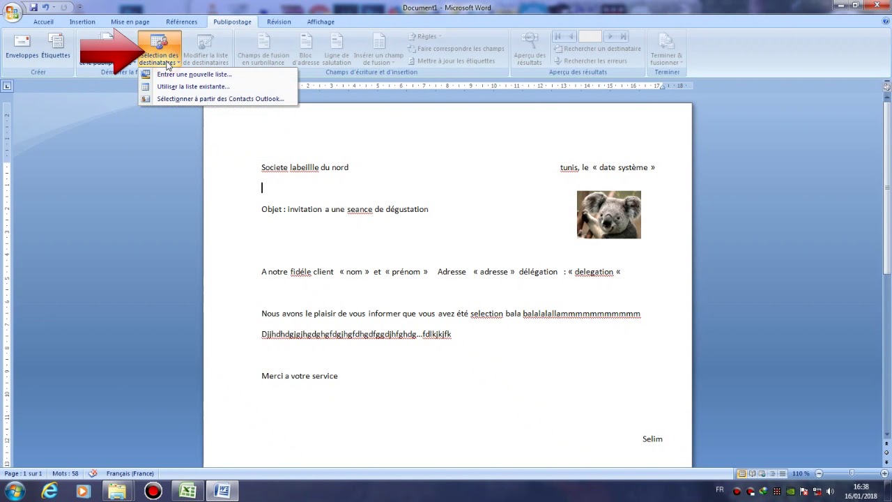 Publipostage Selim Bac Lettres 1 2018/2019  Montage By Selim