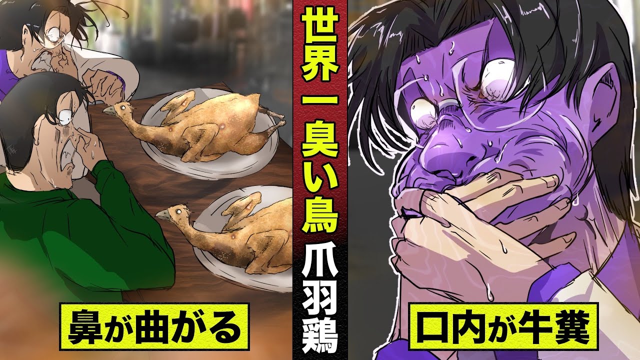 【奇食】世界一臭い鳥。ツメバケイの丸焼き、口内が牛糞一色になる珍獣。