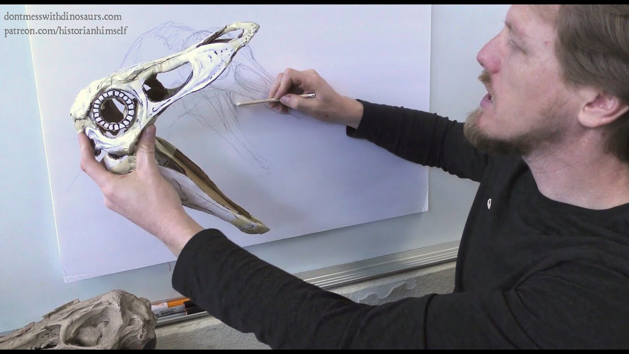 Let's Draw Struthiomimus! #Struthioflock