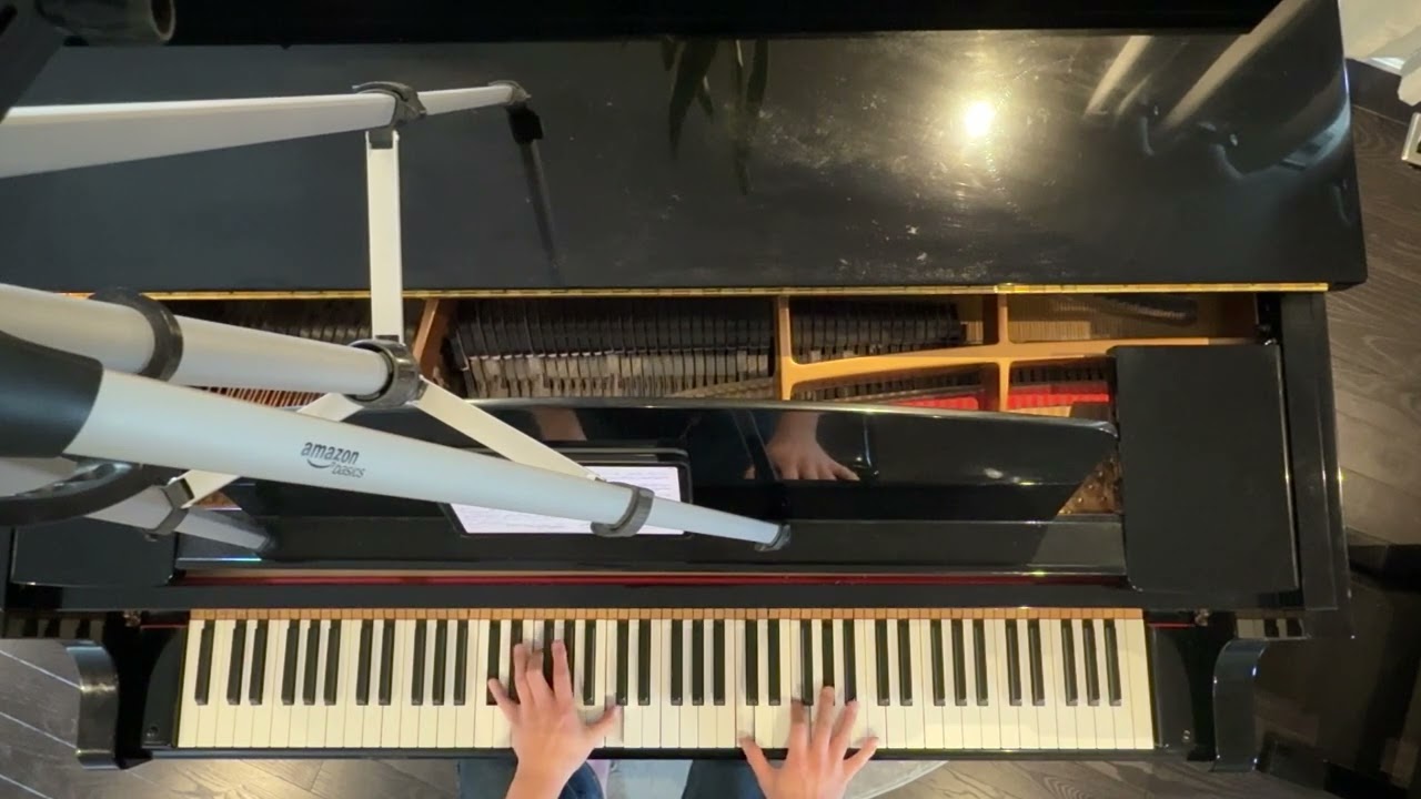 Heaven’s Feel Medley ~ Fate/Stay Night arr. Animenz - Piano Lesson/Tutorial with Richard Yang