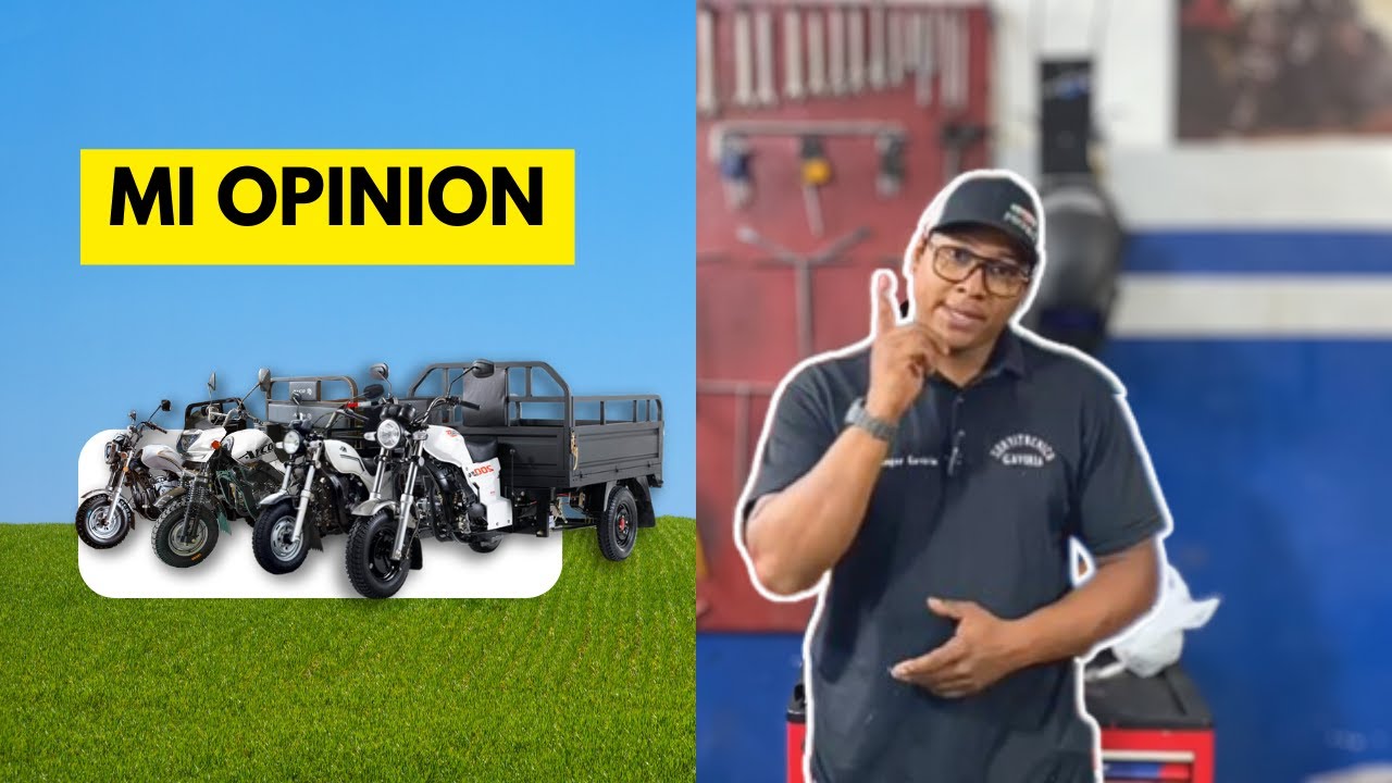 Cu&aacute;l es el MEJOR CARGUERO para COMPRAR
