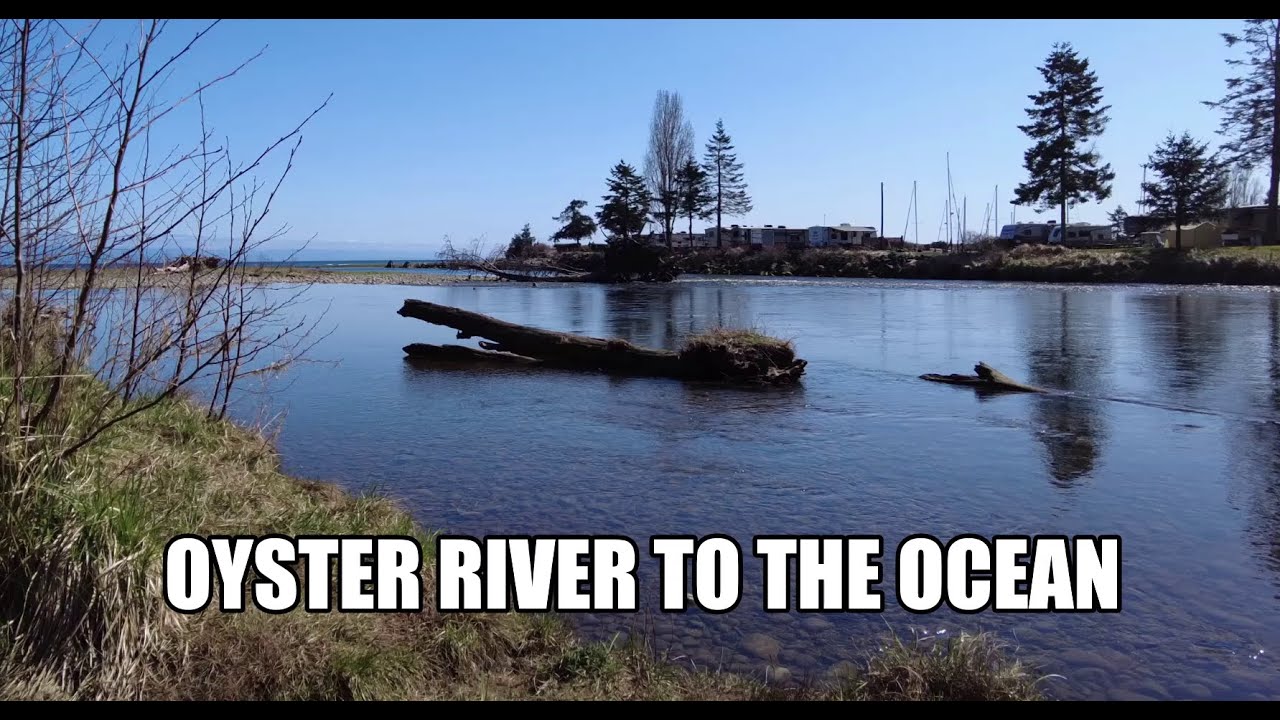 Vancouver Island Waterfront Walks: Oyster River Nature Park to the Ocean, March 2021