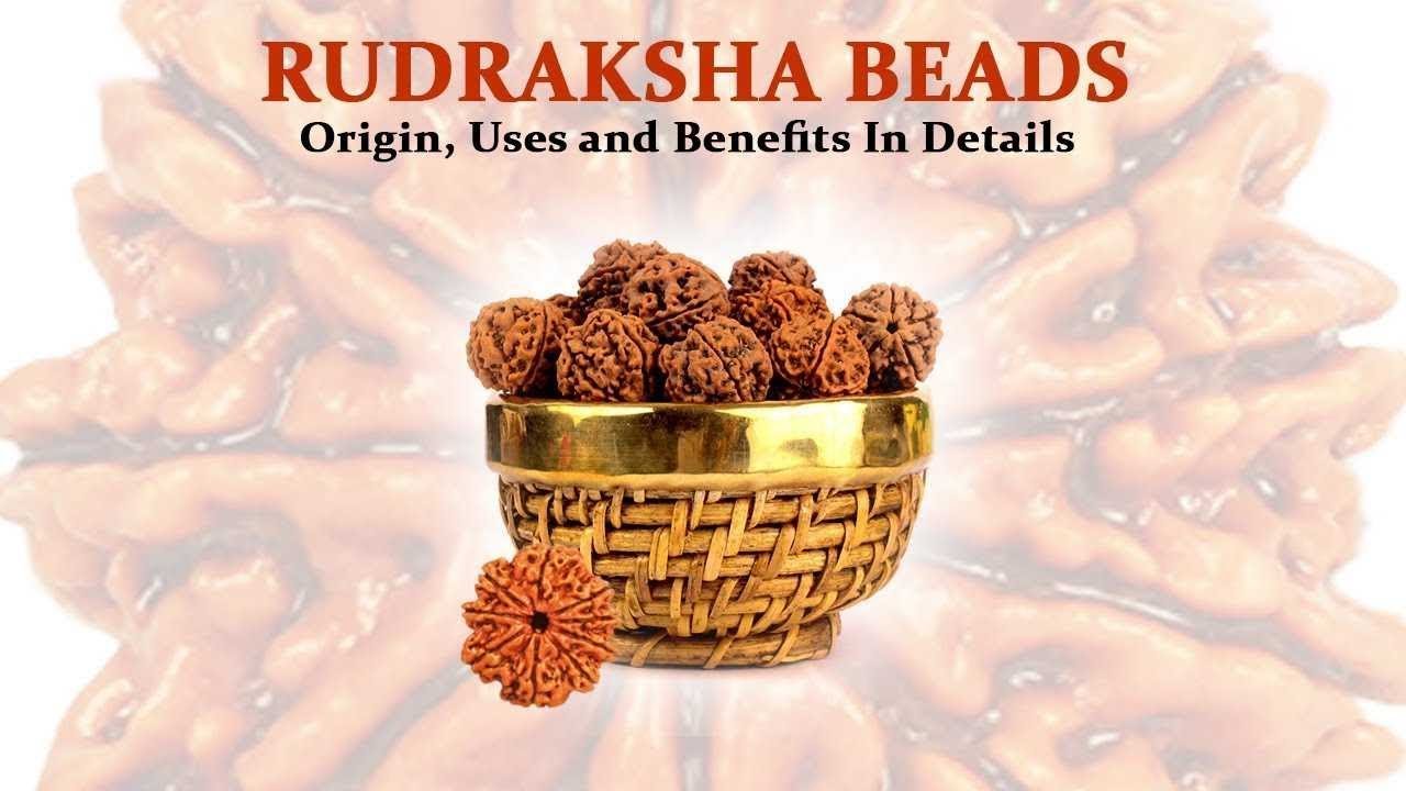 Origin of Rudraksha | Shiva Tears | Rudraksha Tree Origin | Sakhashree Neeta