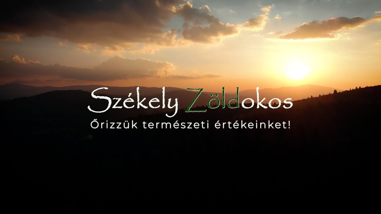 Székely zöldokos 2024. december 21.