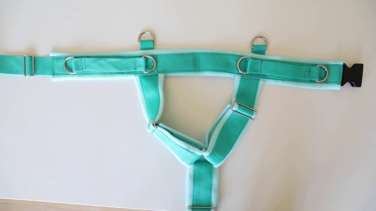DIY Fleece Dog Harness