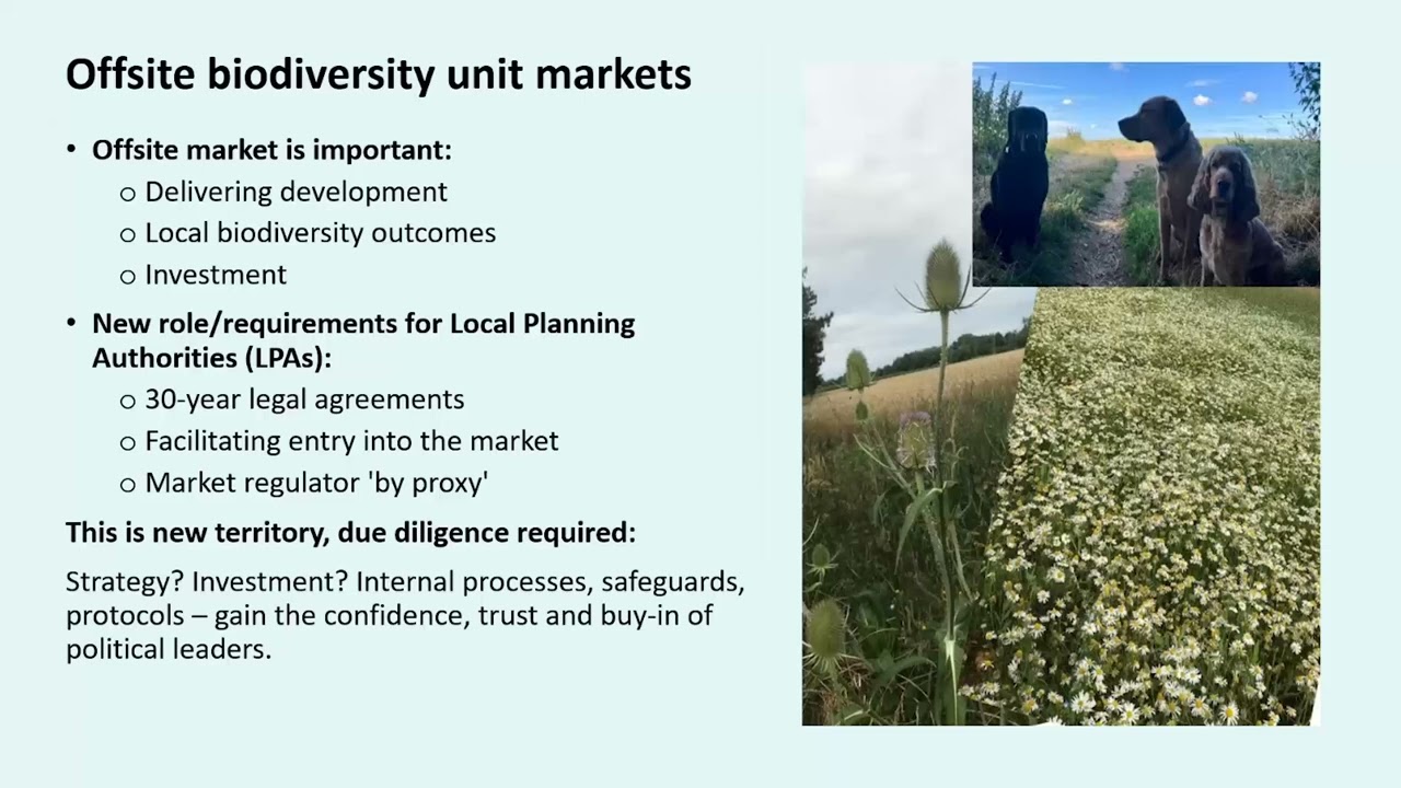 Meeting the key challenges in delivering mandatory biodiversity net gain