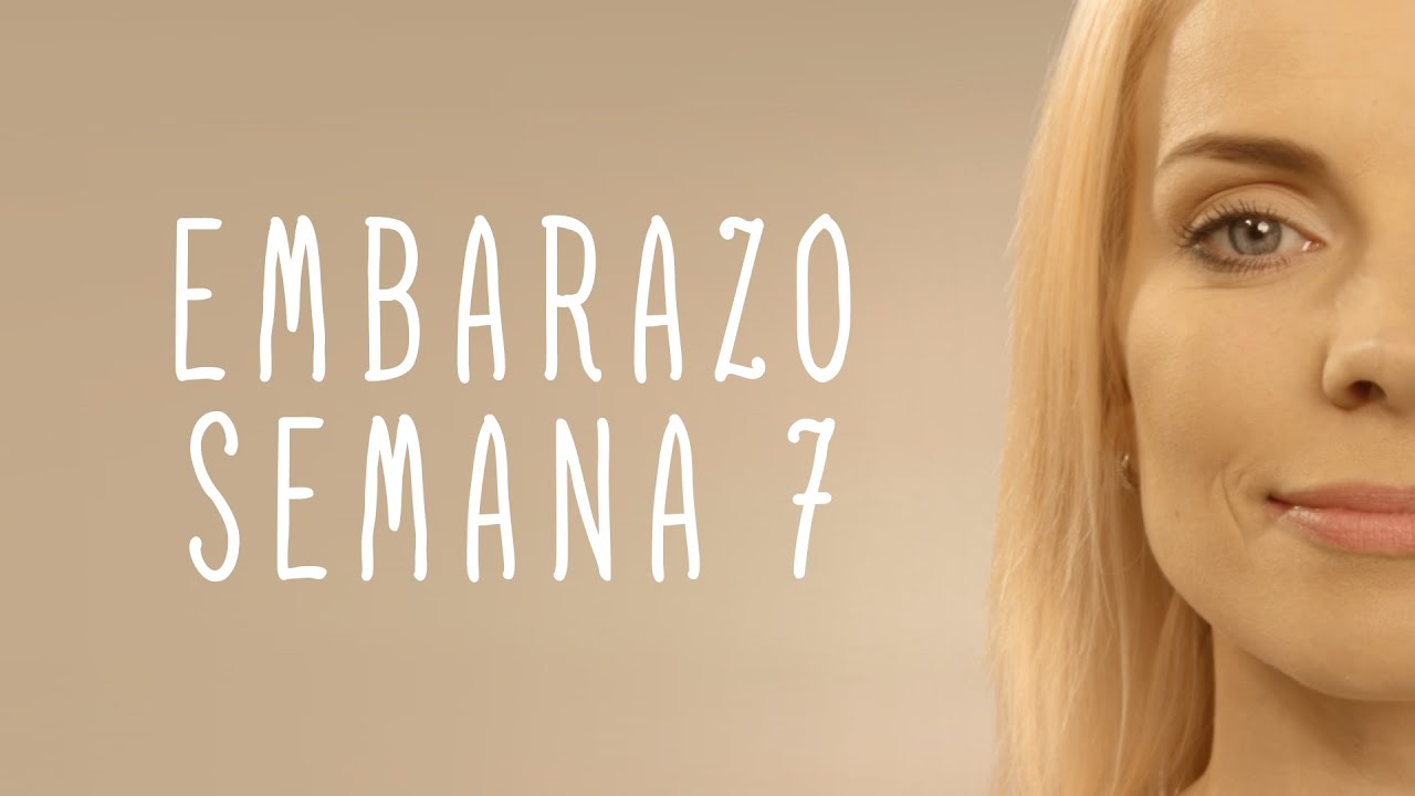 Calendario De Embarazo - Semana 7
