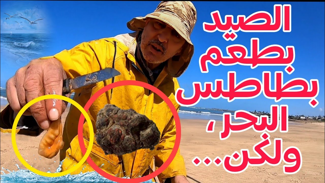 البحر باقي مسكت… والحوت الكبير مازال ما بان.